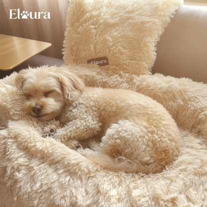 Elaura-Dog Sofa Bed