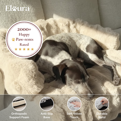 Elaura-Dog Sofa Bed
