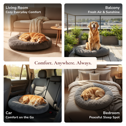 Comfy Dog and Cat Bed