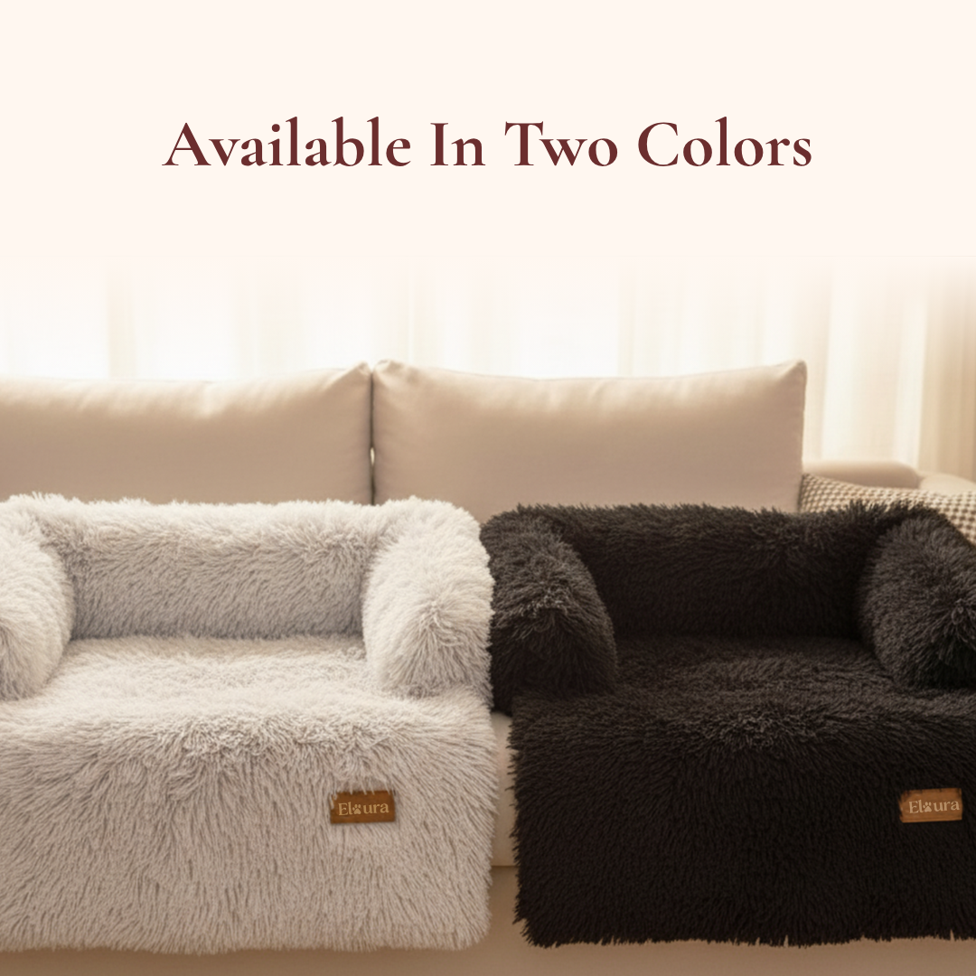 Elaura-Dog Sofa Bed