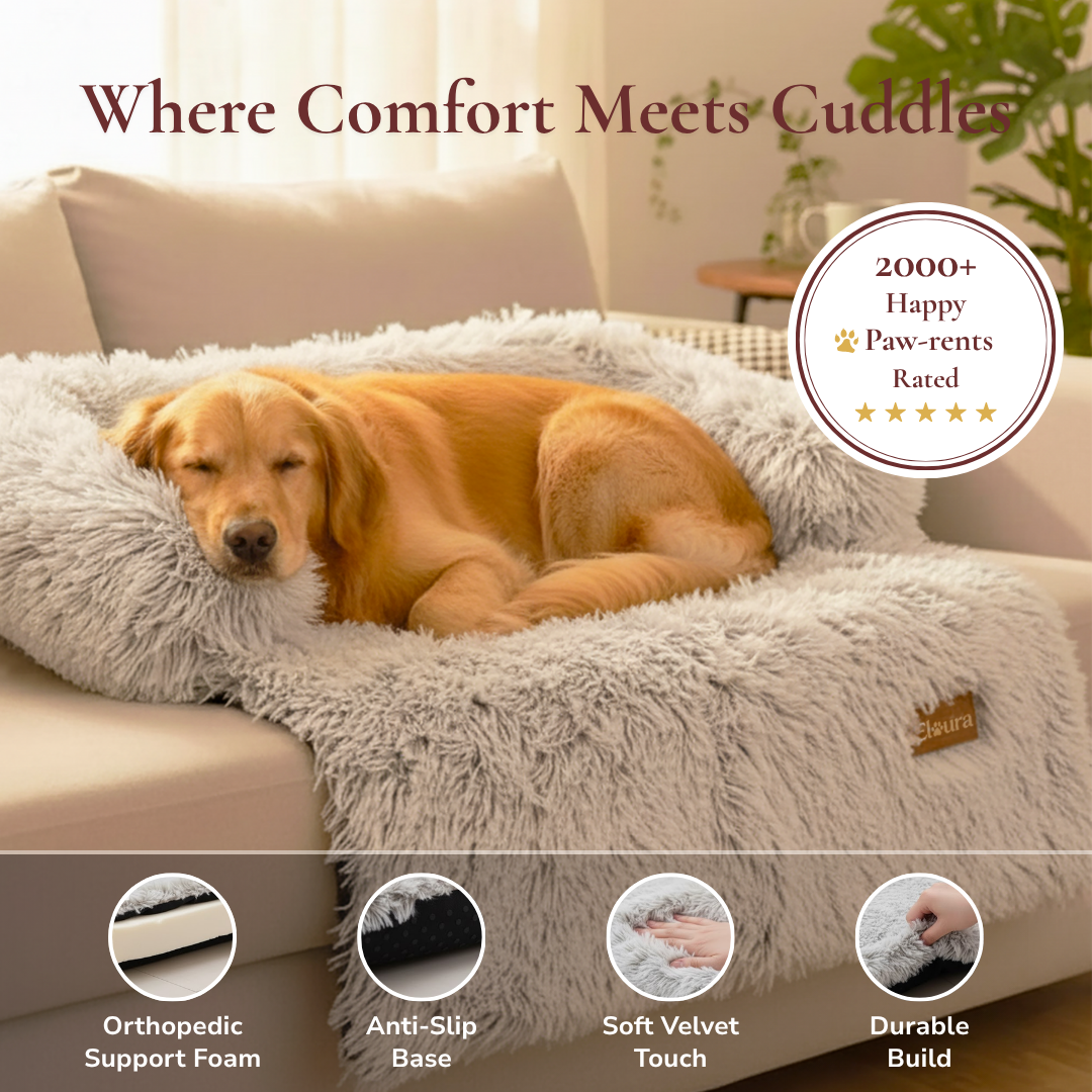 Elaura-Dog Sofa Bed