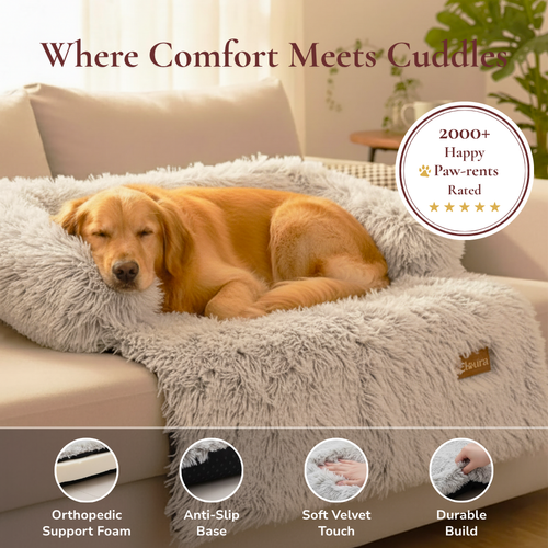 Elaura-Dog Sofa Bed