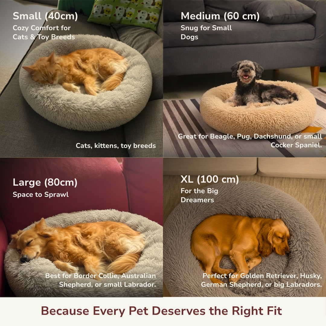 Comfy Dog and Cat Bed