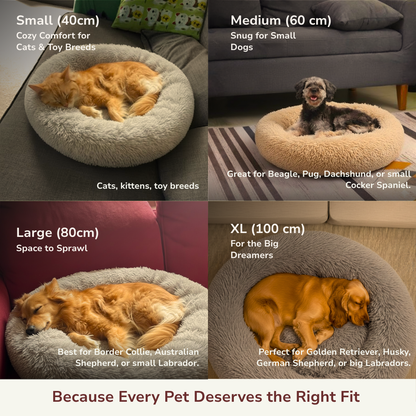 Comfy Dog and Cat Bed