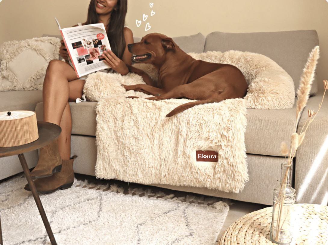 Elaura-Dog Sofa Bed