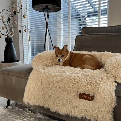 Elaura-Dog Sofa Bed