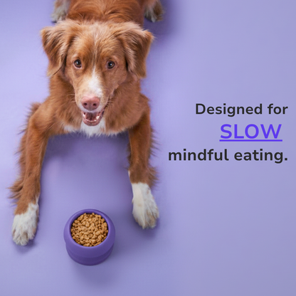 Freezebone - Durable Fillable Dog lick Bowl