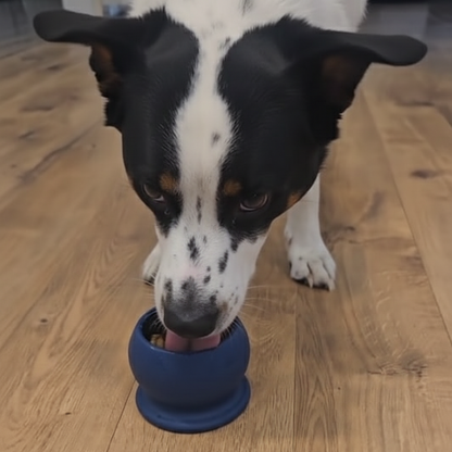 Freezebone - Durable Fillable Dog lick Bowl