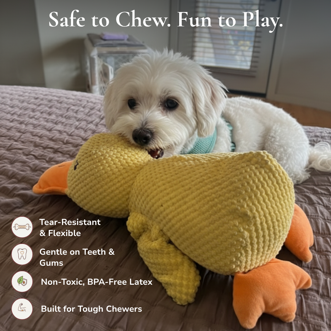 Calming Duck Toy