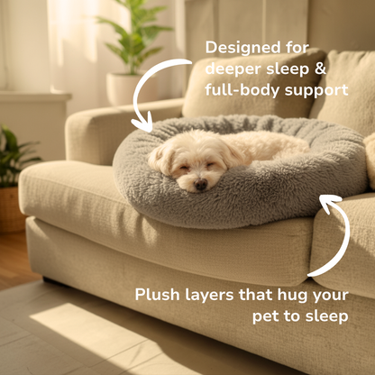 Comfy Dog and Cat Bed