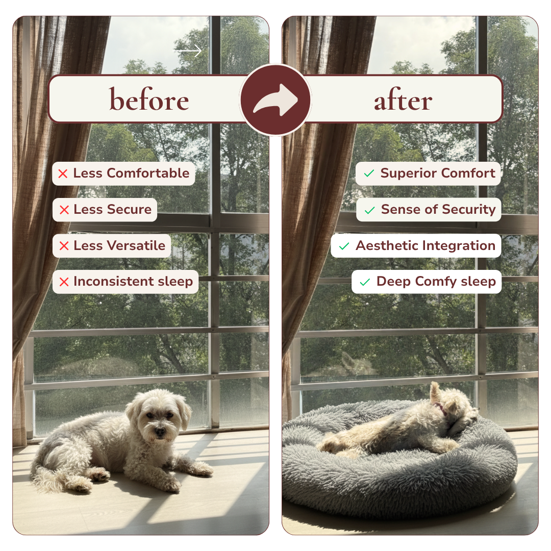 Comfy Dog and Cat Bed