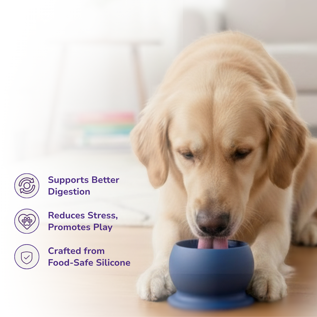 Freezebone - Durable Fillable Dog lick Bowl