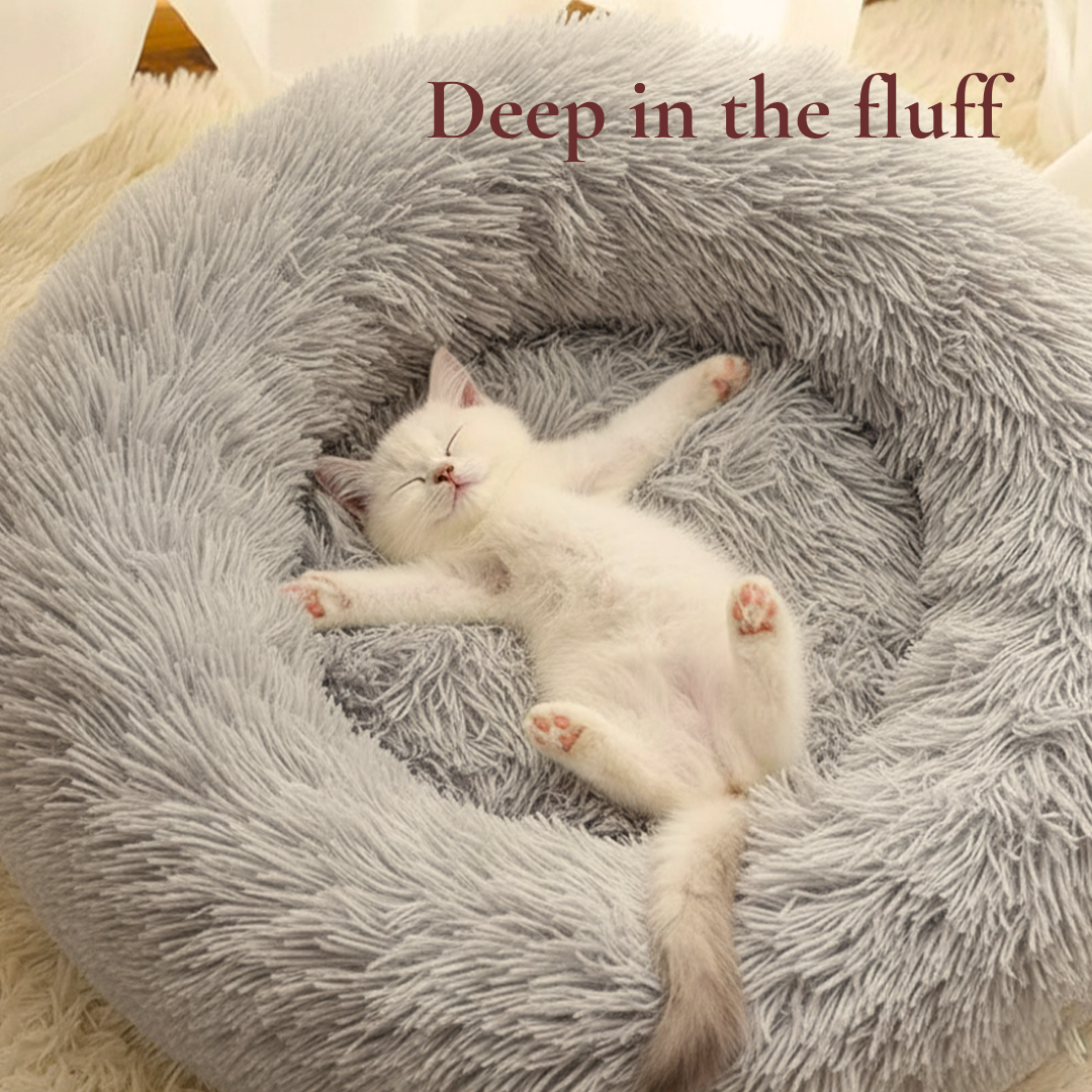 Comfy Dog and Cat Bed